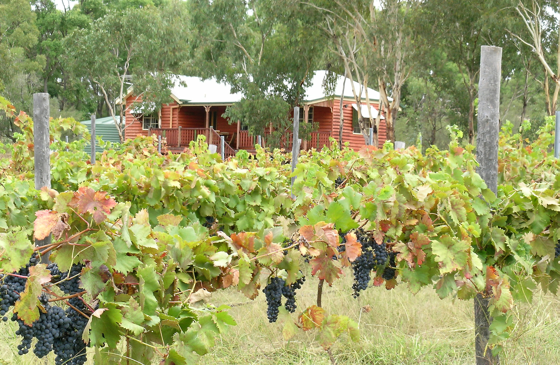 Granite Ridge Wines