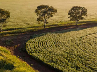 Southern Flinders Ranges