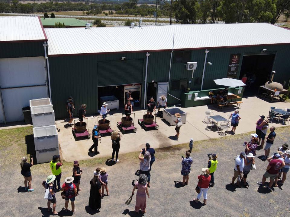 Kingsley Grove Estate