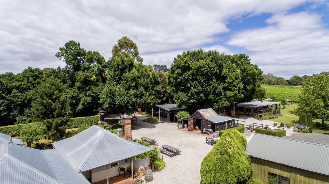 Payne's Rise Vineyard