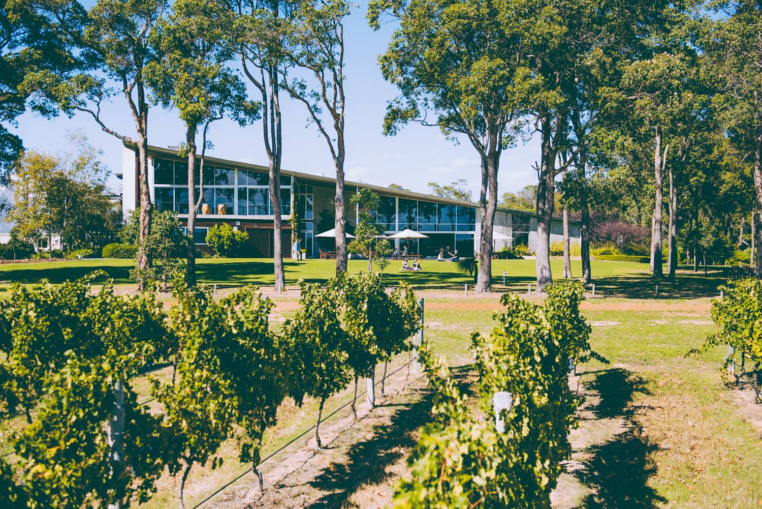 Howard Park Wines