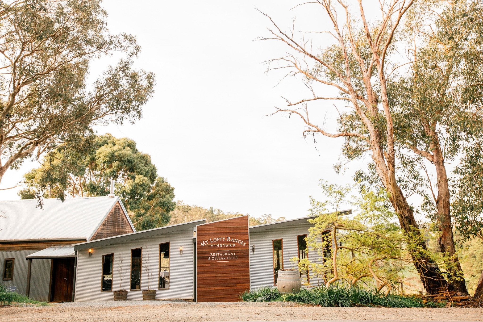 Mt Lofty Ranges Vineyard