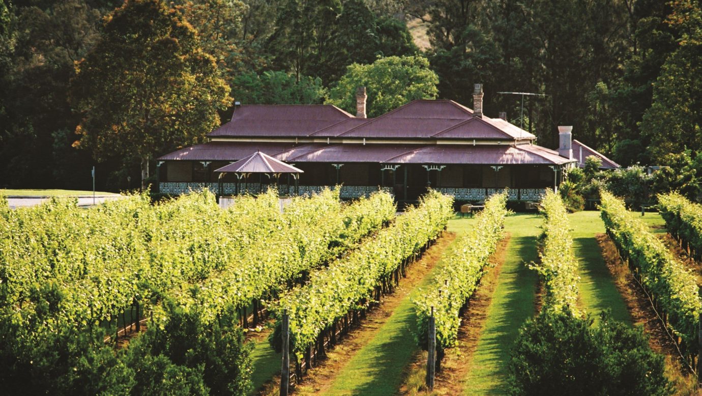 O'Reilly's Canungra Valley Vineyards
