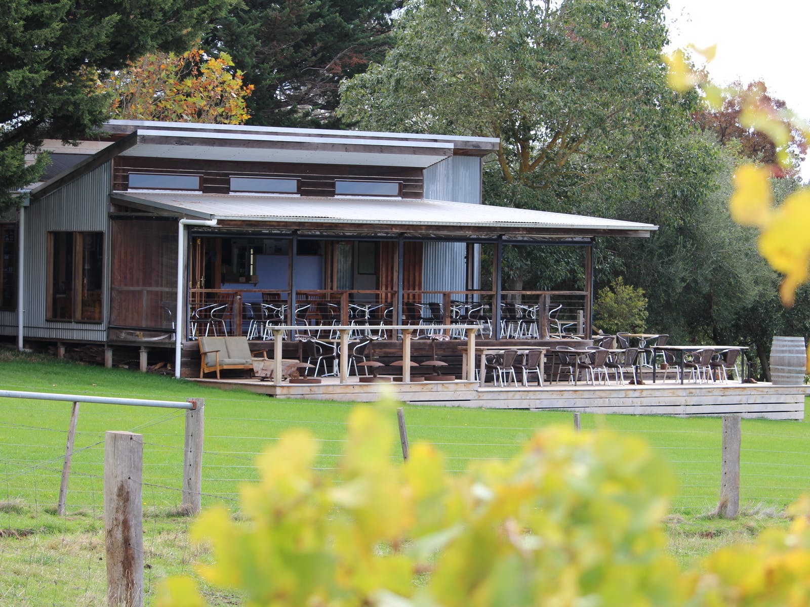 Captains Creek Organic Wines