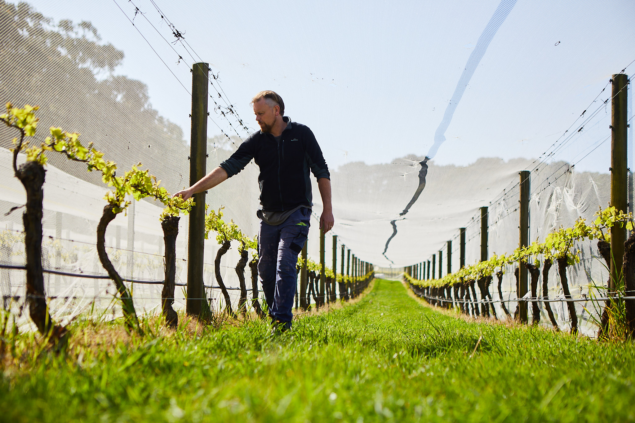 Ocean Eight Vineyard