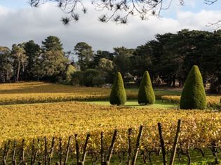 Mornington Peninsula