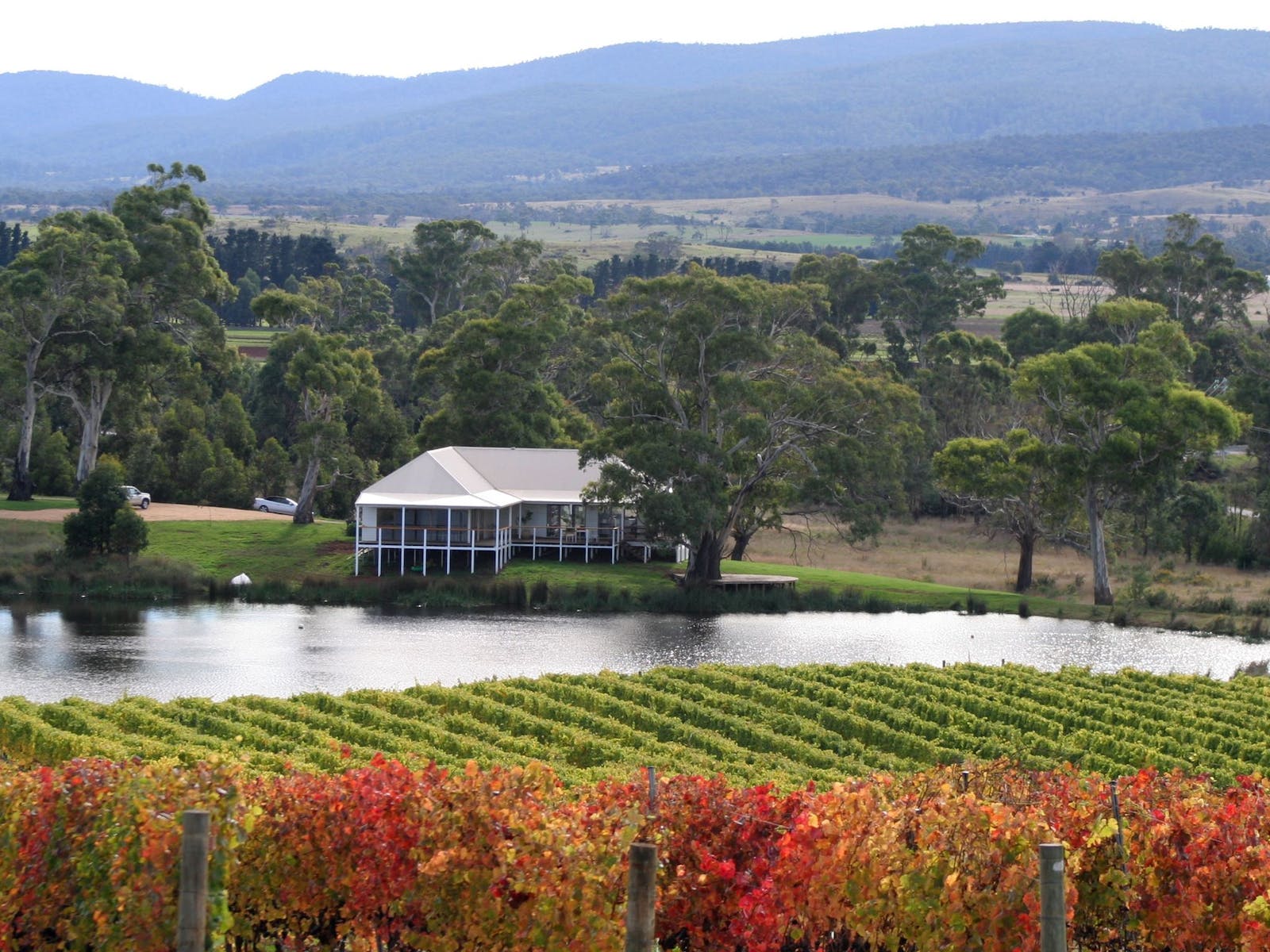 Milton Winery