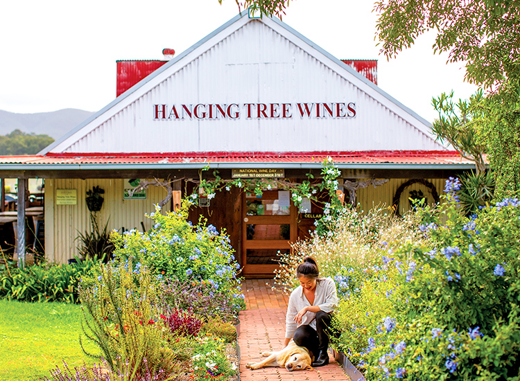 Hanging Tree Wines