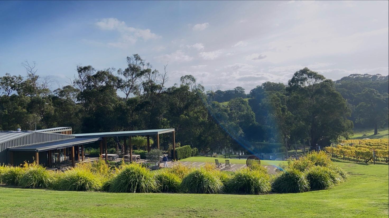 Green Olive at Red Hill