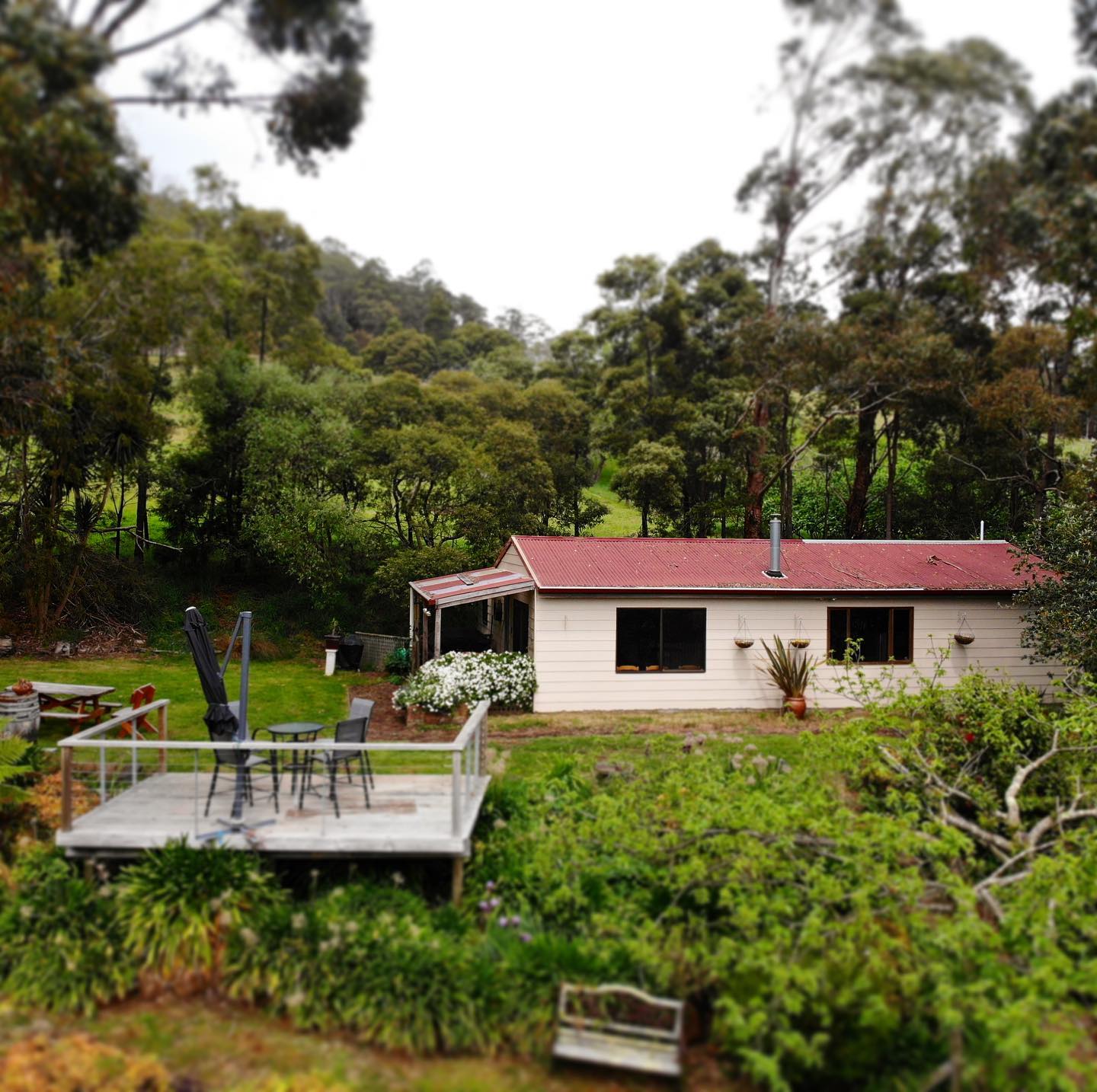 Leven Valley Vineyard