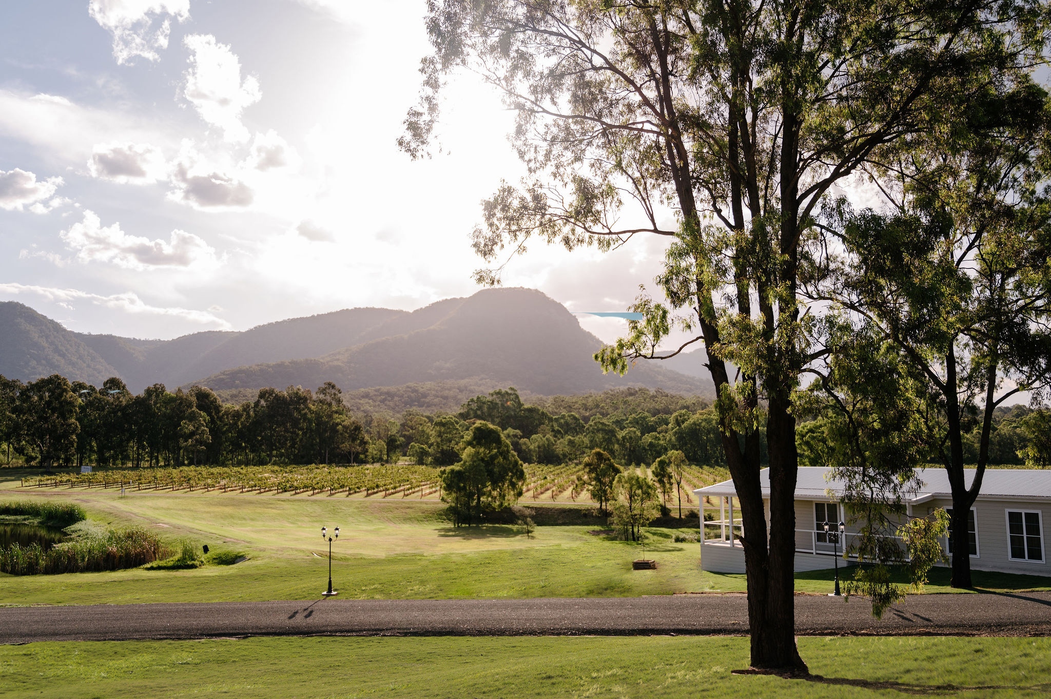 Leogate Estate Wines