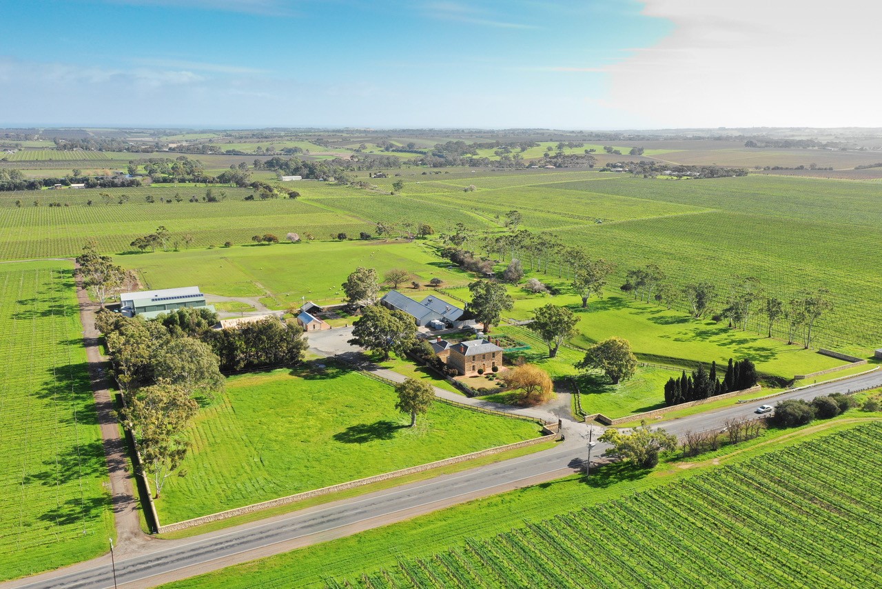 Penny's Hill Wines