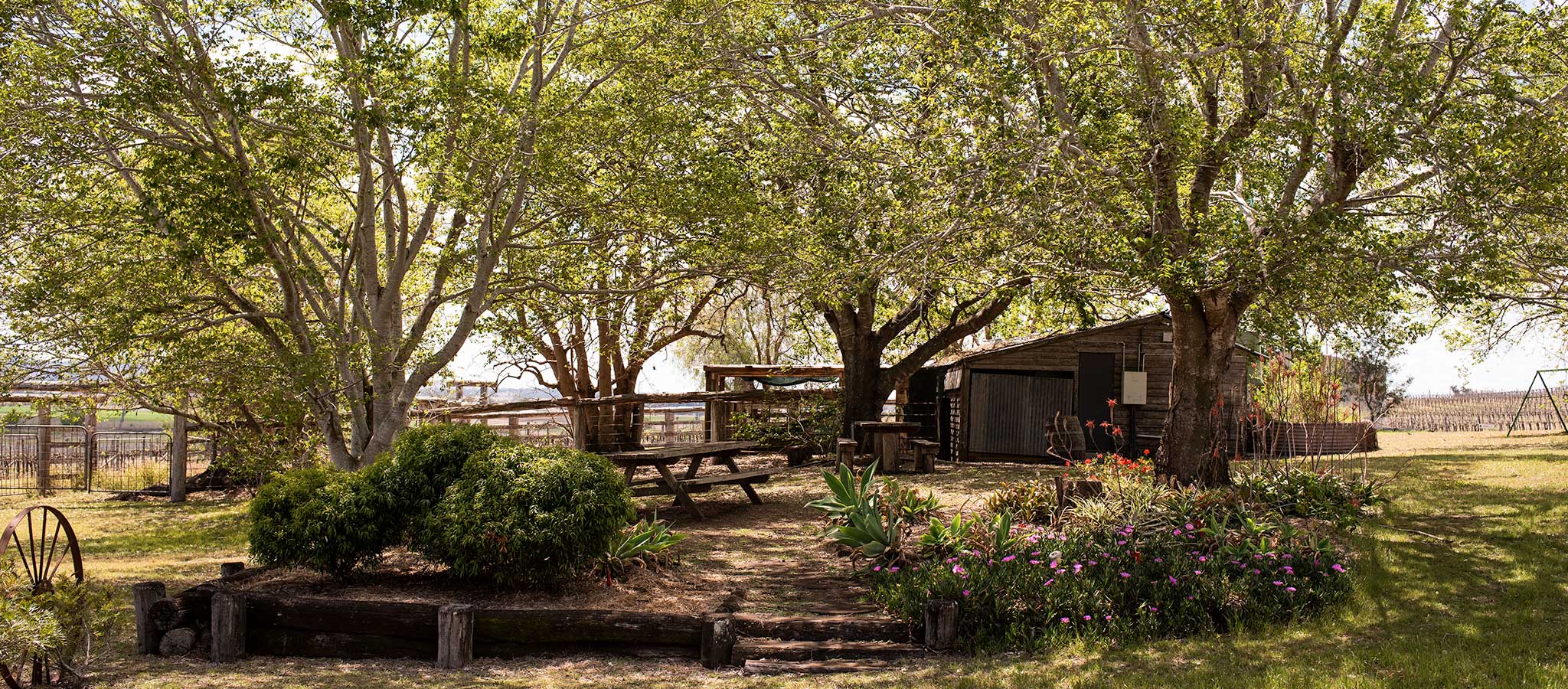 Clovely Estate Vineyard Cellar Door