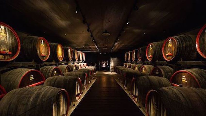 Penfolds Barossa Valley1