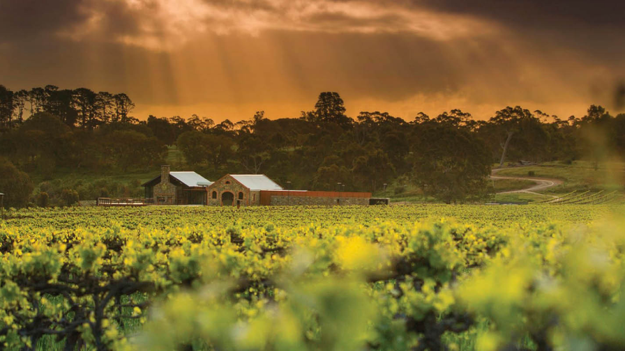 Brokenwood Wines (Demo)