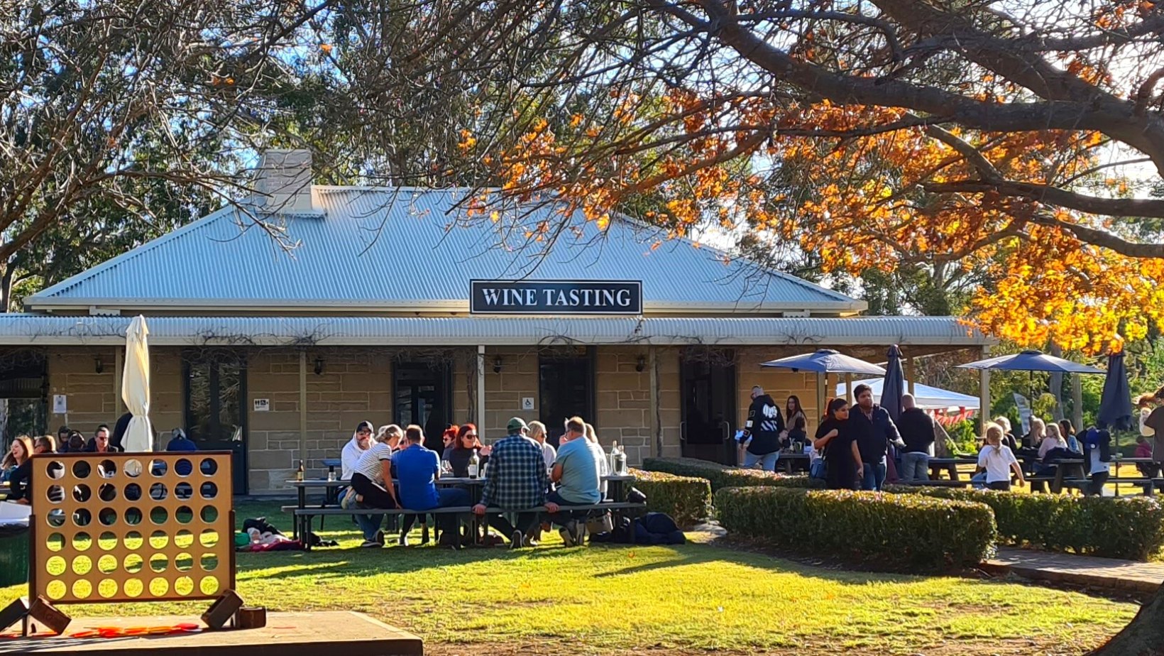 Pokolbin Estate Vineyard