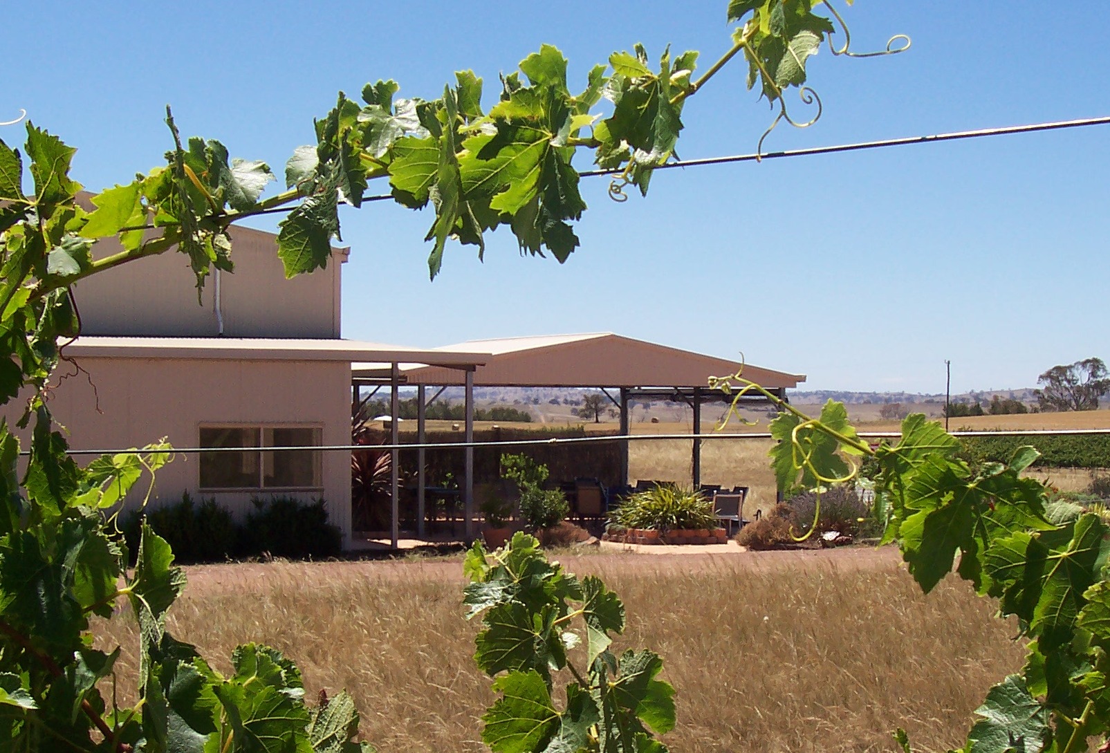 Gallagher Wines